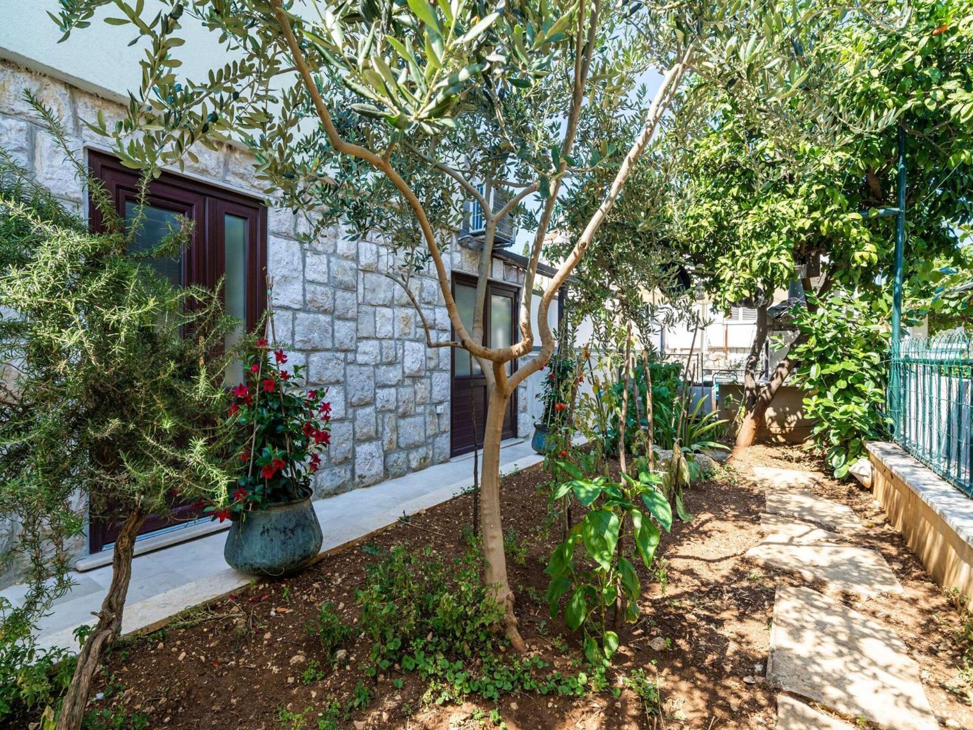 Apartment & Sunset - One Bedroom With Terrace And Garden View